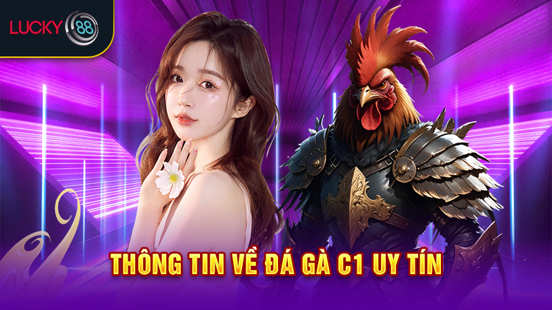 Đá gà C1 - Trực tiếp đá gà Thomo hôm nay chất lượng 5 Thông tin về đá gà C1 uy tín